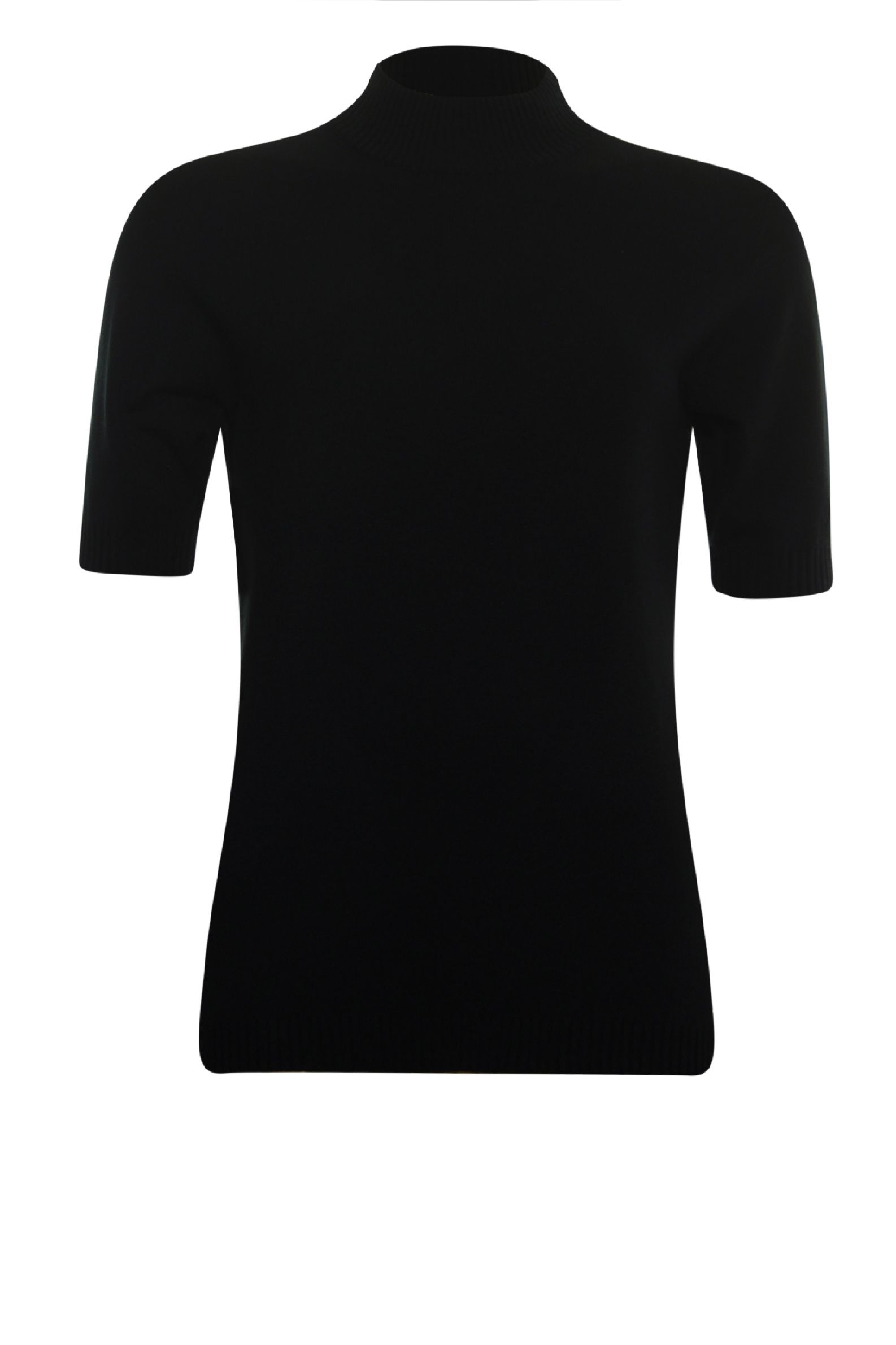 Roberto Sarto Pullover turtle Black